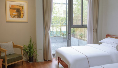 Deluxe Twin Room, Patio