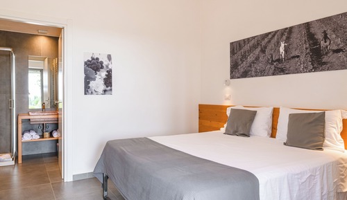 Standard Double or Twin Room, Hill View