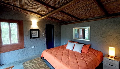 Family Cabin, 1 King Bed, Mountain View
