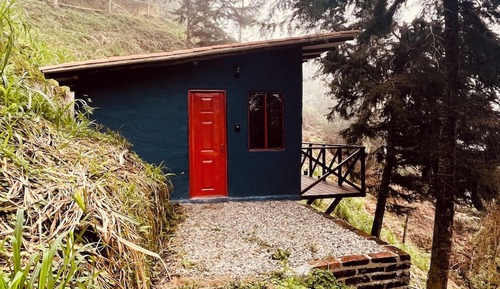 Family Cabin, 1 King Bed, Mountain View