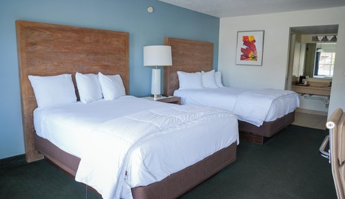 Basic Double Room