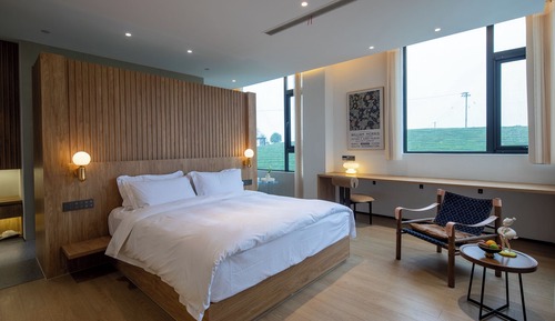 Basic Double Room, Mountain View
