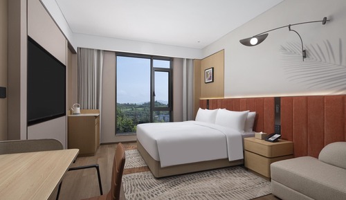 Room, 1 King Bed