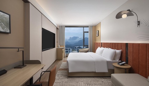 Room, 1 King Bed, Mountain View