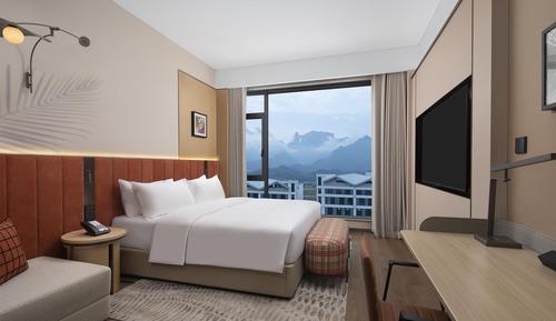 Room, 1 King Bed, Mountain View
