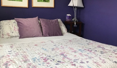 The Violet Room