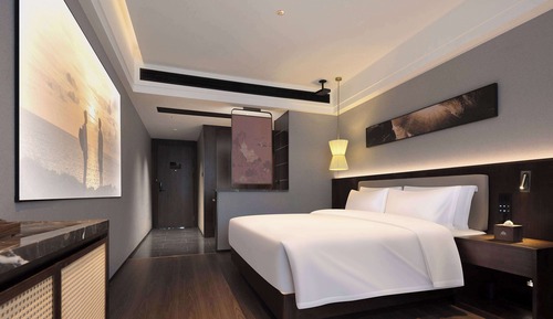 Room, 1 King Bed, Smoking (Cinema)