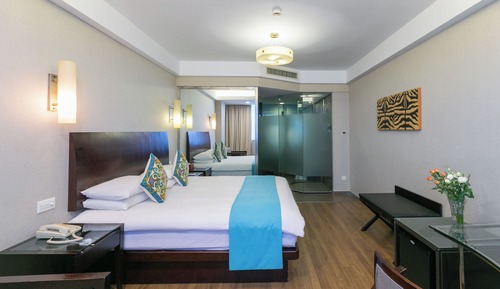 Basic Single Room