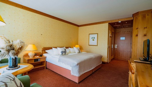 Classic Double Room, Park View