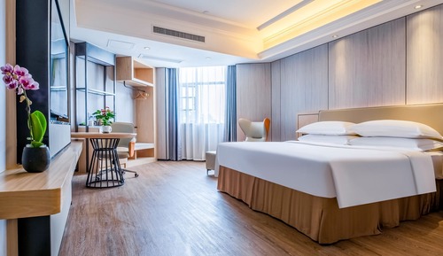 Business Single Room, 1 King Bed, Non Smoking