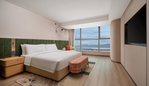 Room, 1 King Bed