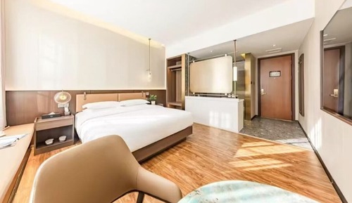 Comfort Single Room