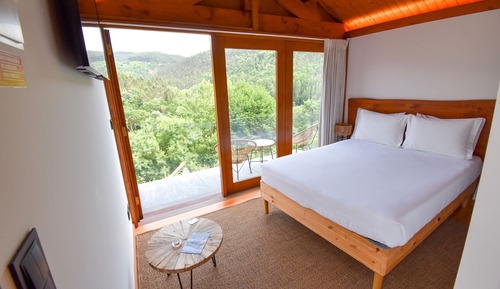 Basic Room, River View
