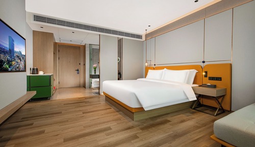 Executive Double or Twin Room