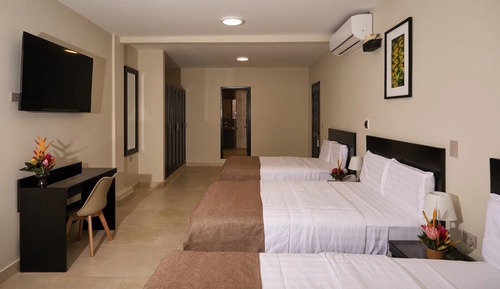 Triple Room, City View