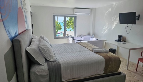 Deluxe Apartment, Ocean View