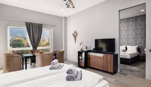 Junior Apartment, Mountain View