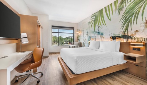 Room, 1 King Bed, Accessible, Non Smoking (Roll-In Shower)