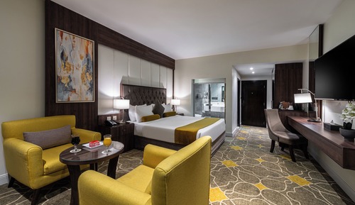 Deluxe Room, Mountain View