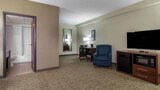 Standard Room, 1 King Bed, Bathtub Grab Bars, Non Smoking