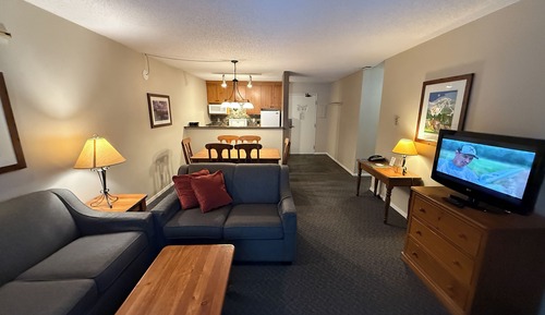 Condo, Multiple Beds, Pool Access, Mountain View (#405)