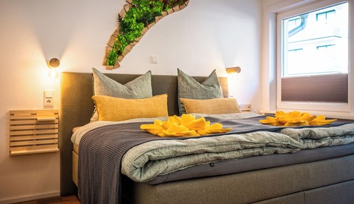 Suite, Mountain View