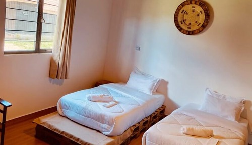 Standard Tent, Mountain View