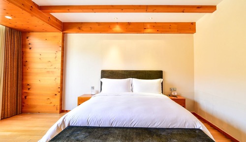 Basic Double Room