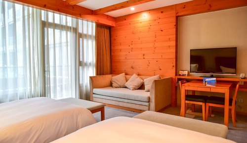 Basic Twin Room