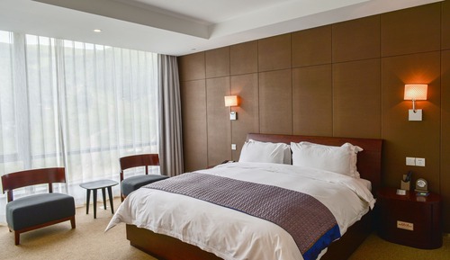 Comfort Suite