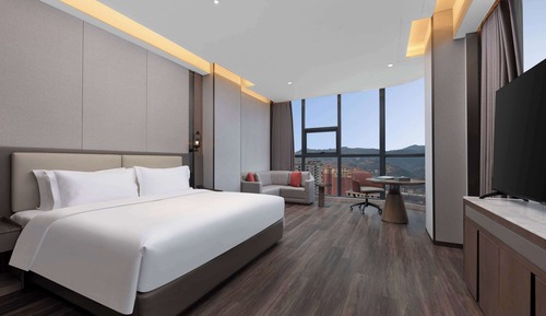 Room, 1 King Bed, City View (Recreation)