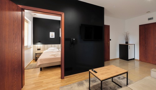 Deluxe Studio Suite, 1 Queen Bed with Sofa bed