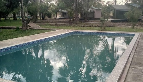 Comfort Tent, Non Smoking, Pool View