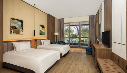 Deluxe Room Park View Twin Bed