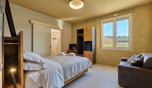 Junior Triple Room, Vineyard View
