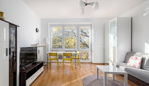 Comfort Apartment