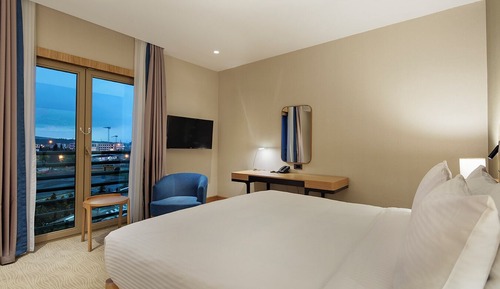 Room, 1 King Bed, Smoking