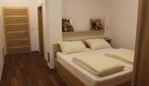 Standard Apartment, Kitchen