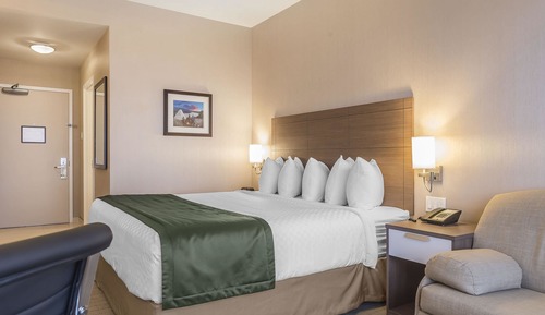 Standard Room, 1 King Bed with Sofa bed