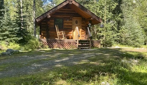 Cozy Moose Cabin (No Running Water)