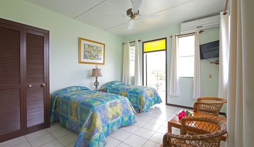 Deluxe Studio, 2 Twin Beds