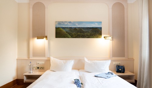 Standard Double Room Single Use