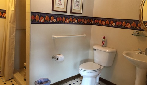 Standard Cottage, Accessible, Ensuite (Red Baron)