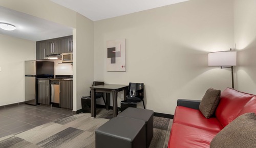 Standard Room, 1 King Bed, Non Smoking, Kitchen (with Sofabed, Full Kitchen)