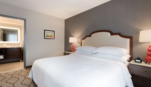 Studio, 1 King Bed with Sofa bed, Non Smoking (PURE Allergy Friendly Studio)
