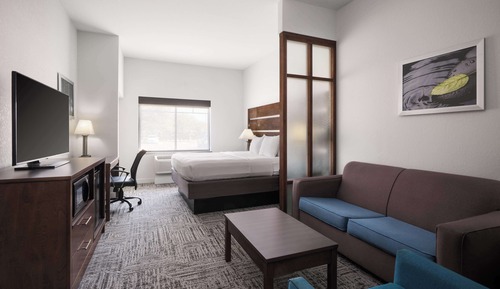 Suite, 1 King Bed, Accessible, Non Smoking (with Sofabed)
