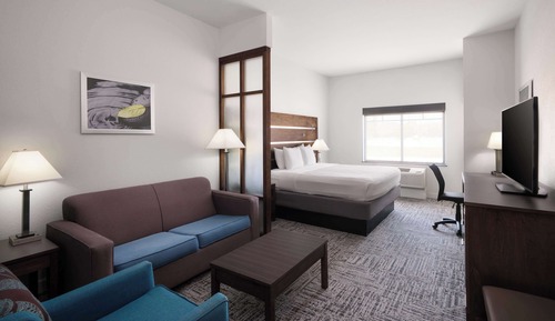 Suite, 1 King Bed, Accessible, Bathtub (with Single Sofabed)