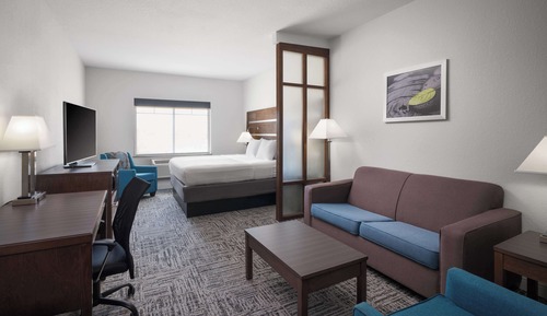 Suite, 1 King Bed, Non Smoking (Shower Only;with Sofabed)