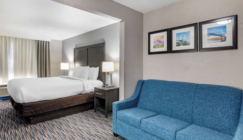 Standard Room, 1 King Bed with Sofa bed, Non Smoking