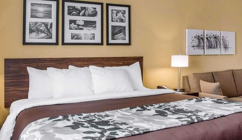 Suite, 1 King Bed with Sofa bed, Non Smoking (2 Person Sofa Bed)